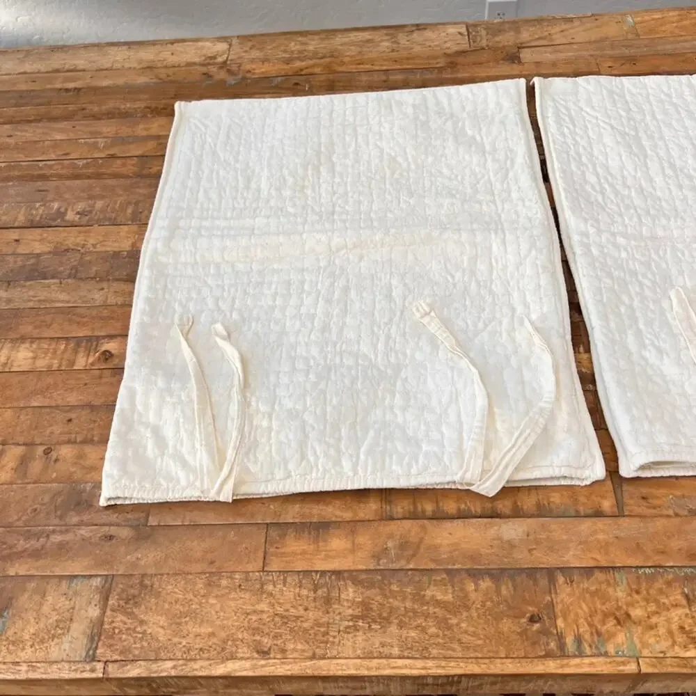 Pottery Barn Pillow Shams Set of 2 Standard 20 x 20